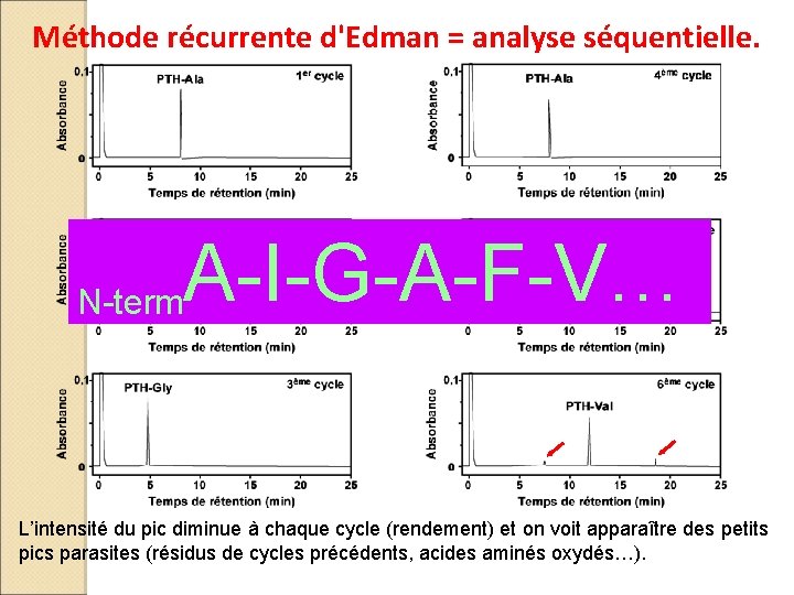 Méthode récurrente d'Edman = analyse séquentielle. N-term A-I-G-A-F-V… L’intensité du pic diminue à chaque