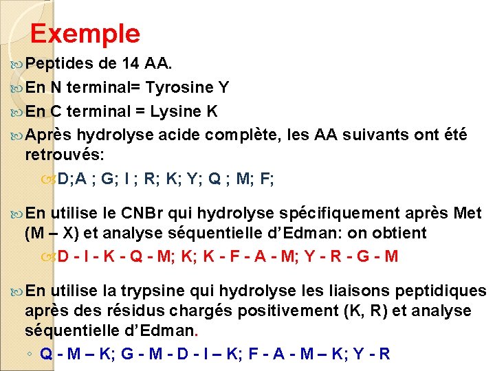 Exemple Peptides de 14 AA. En N terminal= Tyrosine Y En C terminal =