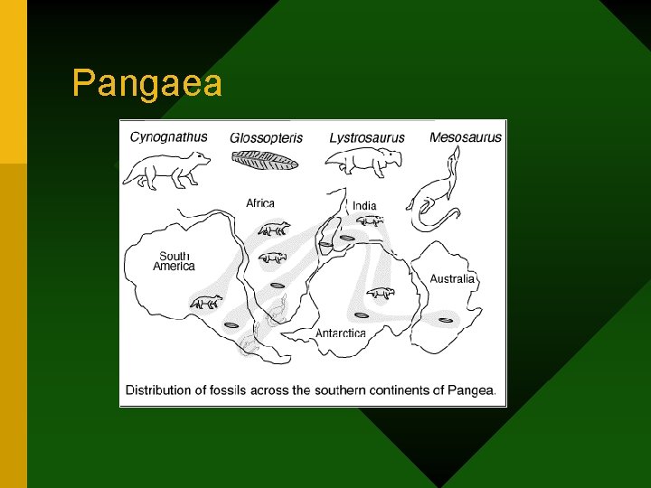 Pangaea 