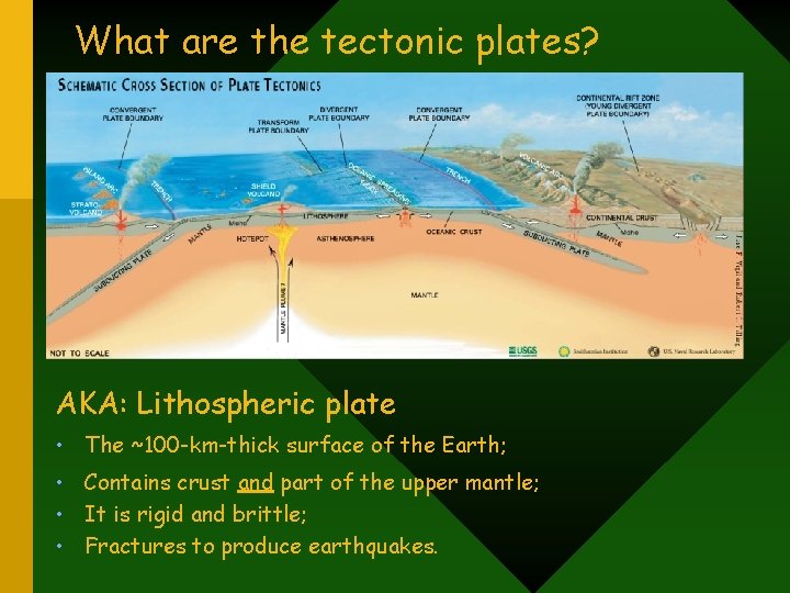 What are the tectonic plates? AKA: Lithospheric plate • The ~100 -km-thick surface of
