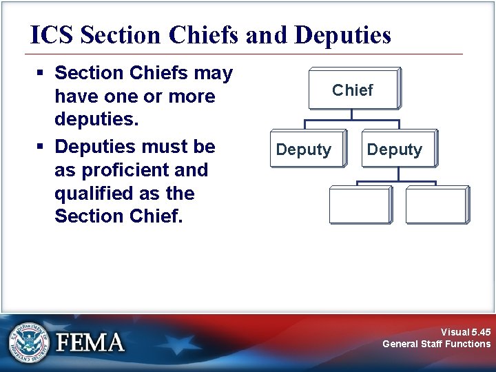 ICS Section Chiefs and Deputies § Section Chiefs may have one or more deputies.