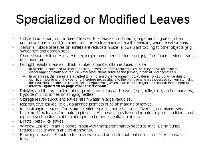 Specialized or Modified Leaves • • Cotyledons: embryonic or "seed" leaves. First leaves produced