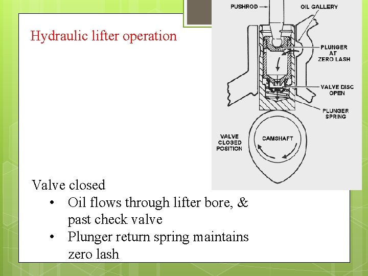 Hydraulic lifter operation Valve closed • Oil flows through lifter bore, & past check