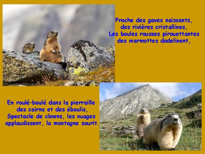 Proche des gaves naissants, des rivières cristallines, Les boules rousses pirouettantes des marmottes dodelinent,