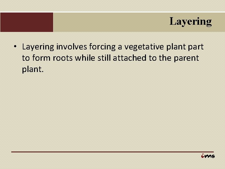 Layering • Layering involves forcing a vegetative plant part to form roots while still