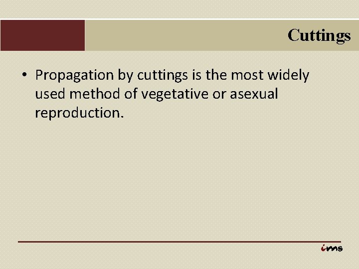 Cuttings • Propagation by cuttings is the most widely used method of vegetative or