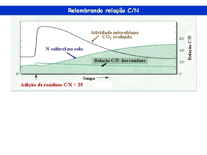 Atividade microbiana CO 2 evoluído N solúvel no solo Relação C/N dos resíduos Tempo