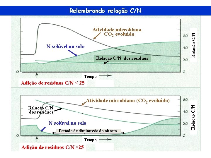 Atividade microbiana CO 2 evoluído N solúvel no solo Relação C/N dos resíduos Relação