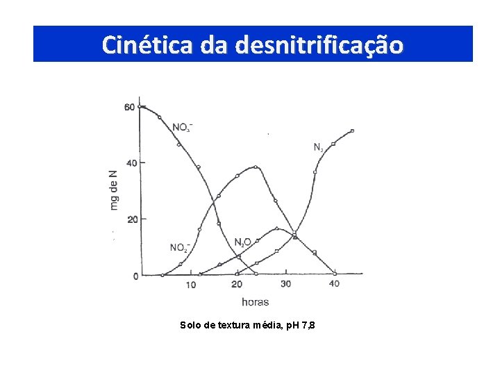 Cinética da desnitrificação Solo de textura média, p. H 7, 8 