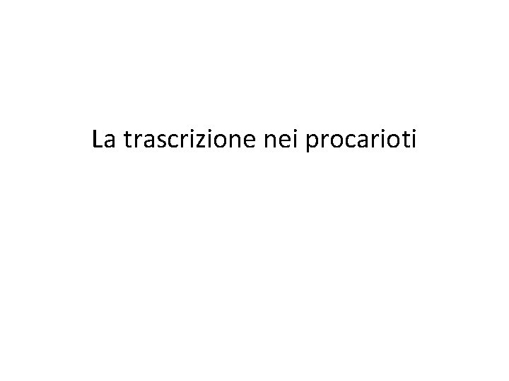 La trascrizione nei procarioti 