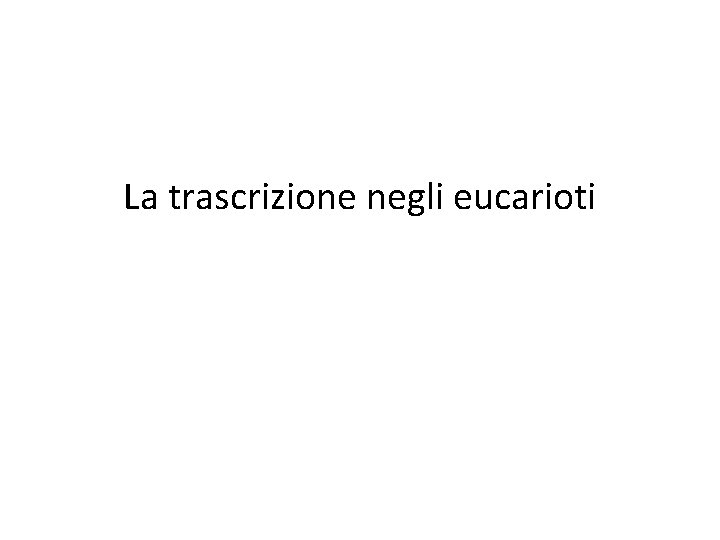 La trascrizione negli eucarioti 