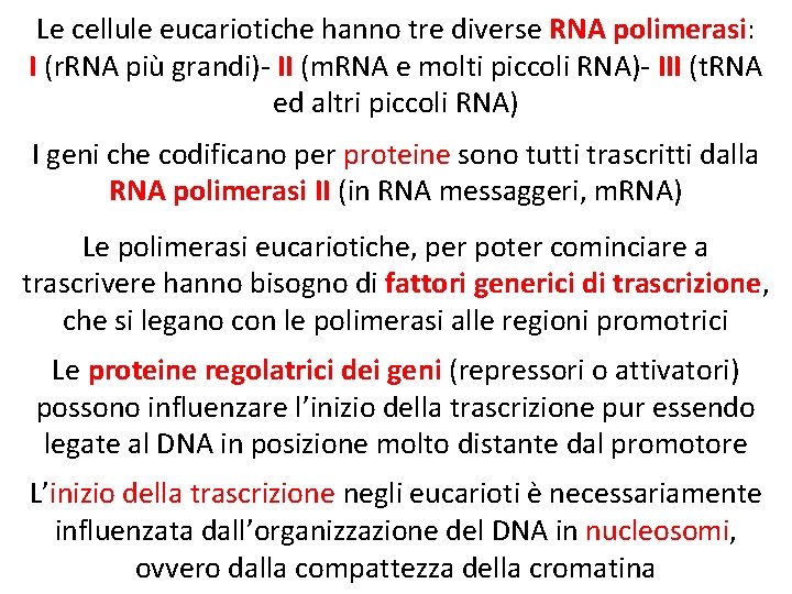 Le cellule eucariotiche hanno tre diverse RNA polimerasi: I (r. RNA più grandi)- II