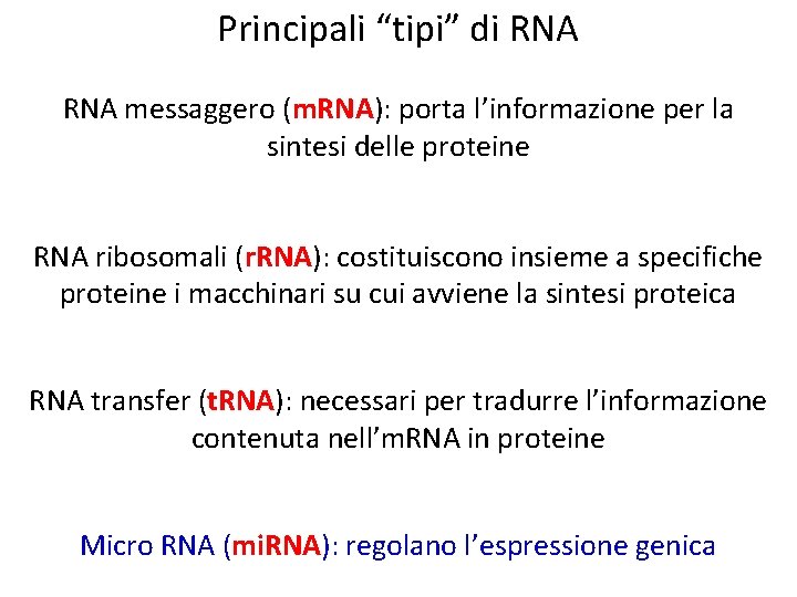 Principali “tipi” di RNA messaggero (m. RNA): porta l’informazione per la sintesi delle proteine