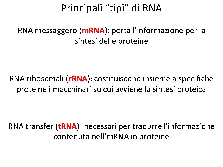 Principali “tipi” di RNA messaggero (m. RNA): porta l’informazione per la sintesi delle proteine
