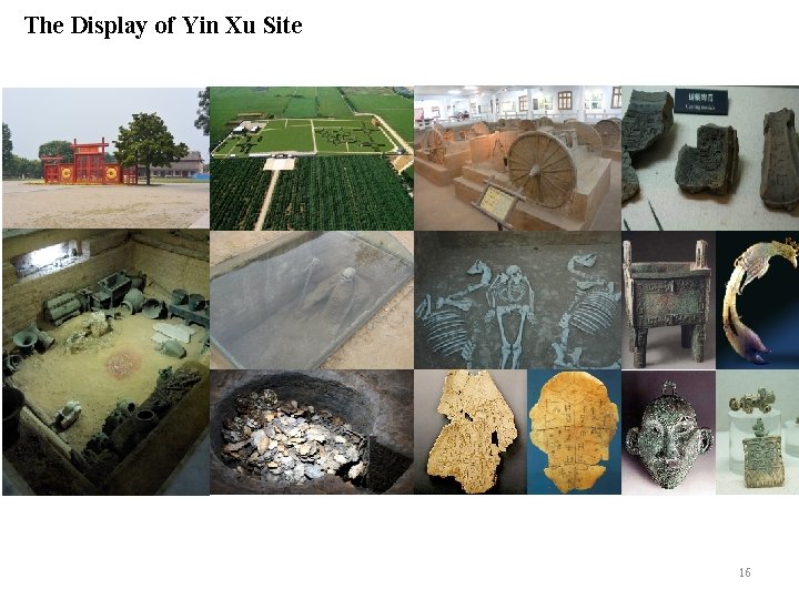 The Display of Yin Xu Site 16 