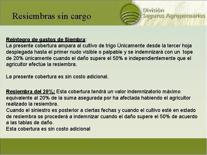 Resiembras sin cargo Reintegro de gastos de Siembra: La presente cobertura ampara al cultivo