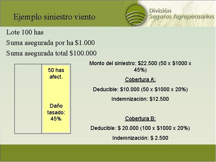 Ejemplo siniestro viento Lote 100 has Suma asegurada por ha $1. 000 Suma asegurada