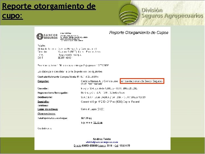 Reporte otorgamiento de cupo: 