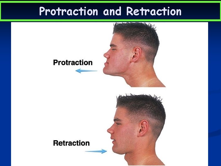 Protraction and Retraction 