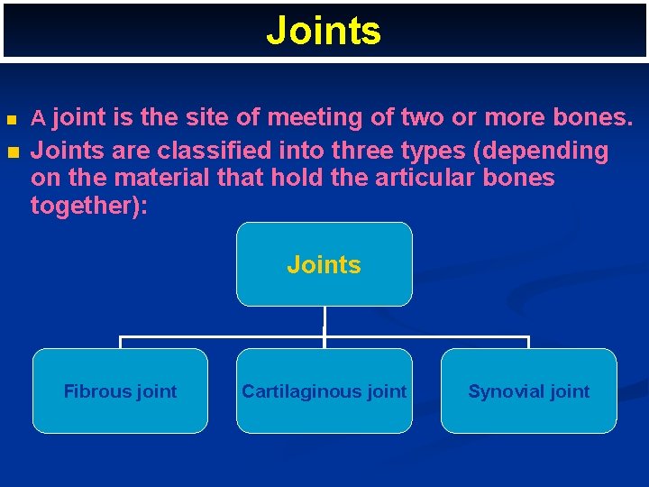 Joints n n A joint is the site of meeting of two or more