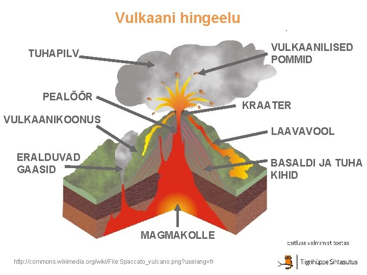 Vulkaani hingeelu VULKAANILISED POMMID TUHAPILV PEALÕÕR KRAATER VULKAANIKOONUS LAAVAVOOL ERALDUVAD GAASID BASALDI JA TUHA