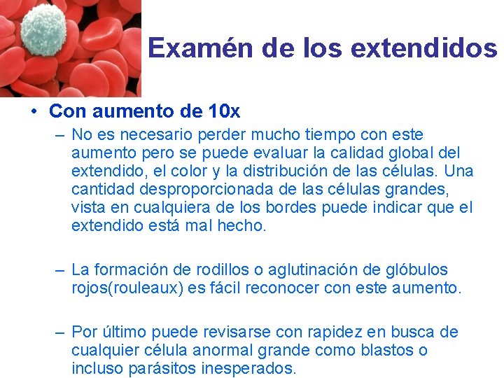 Examén de los extendidos • Con aumento de 10 x – No es necesario Examén de los extendidos • Con aumento de 10 x – No es necesario
