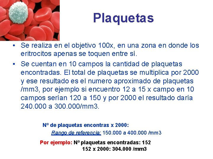 Plaquetas • Se realiza en el objetivo 100 x, en una zona en donde Plaquetas • Se realiza en el objetivo 100 x, en una zona en donde
