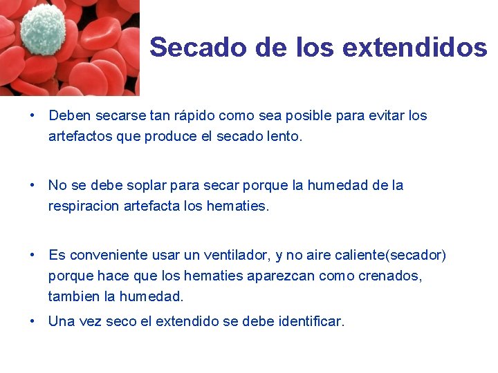 Secado de los extendidos • Deben secarse tan rápido como sea posible para evitar Secado de los extendidos • Deben secarse tan rápido como sea posible para evitar