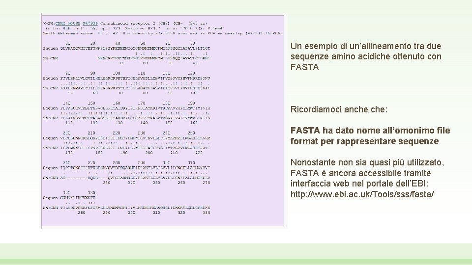 Un esempio di un’allineamento tra due sequenze amino acidiche ottenuto con FASTA Ricordiamoci anche