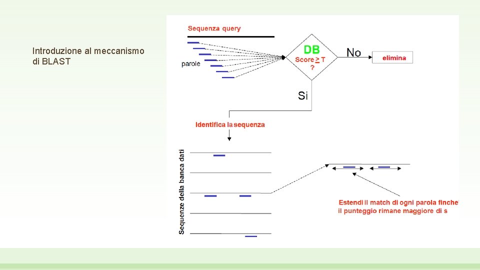 Introduzione al meccanismo di BLAST 