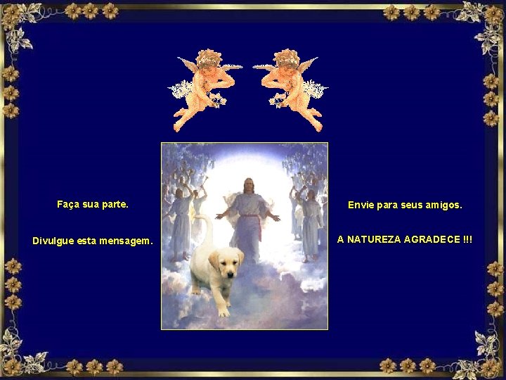 Faça sua parte. Envie para seus amigos. Divulgue esta mensagem. A NATUREZA AGRADECE !!!