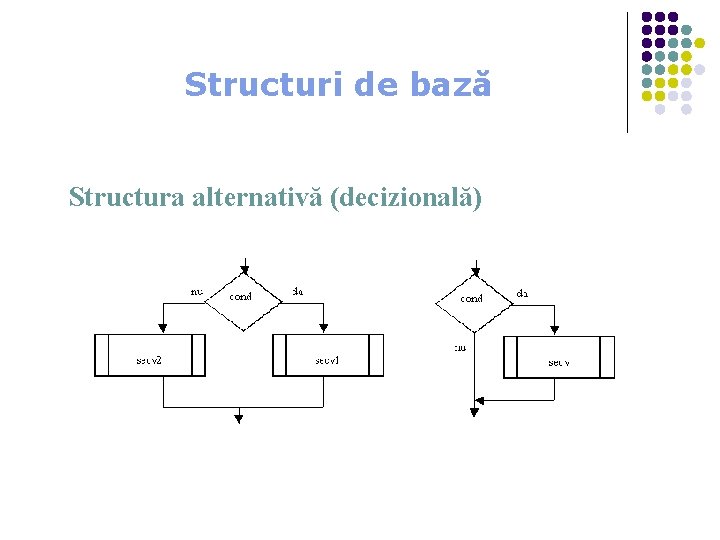 Structuri de bază Structura alternativă (decizională) 