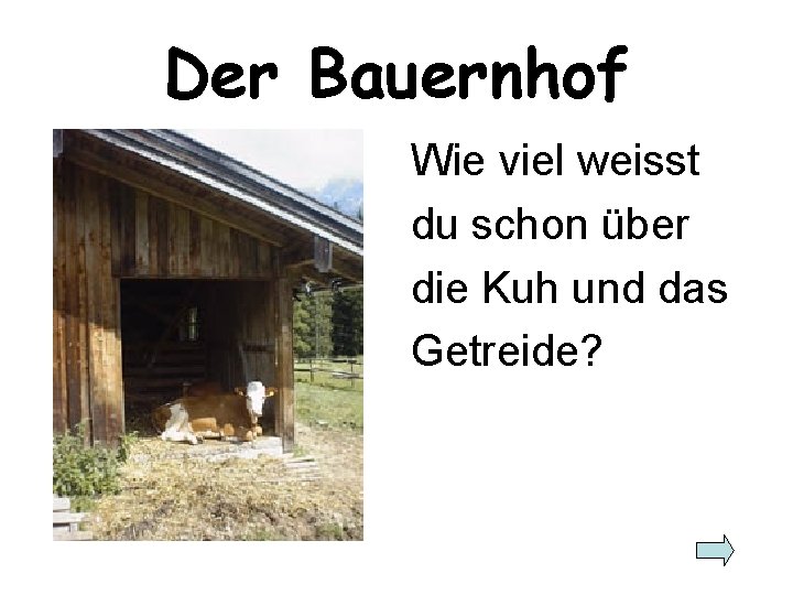 Der Bauernhof Wie viel weisst du schon über die Kuh und das Getreide? 