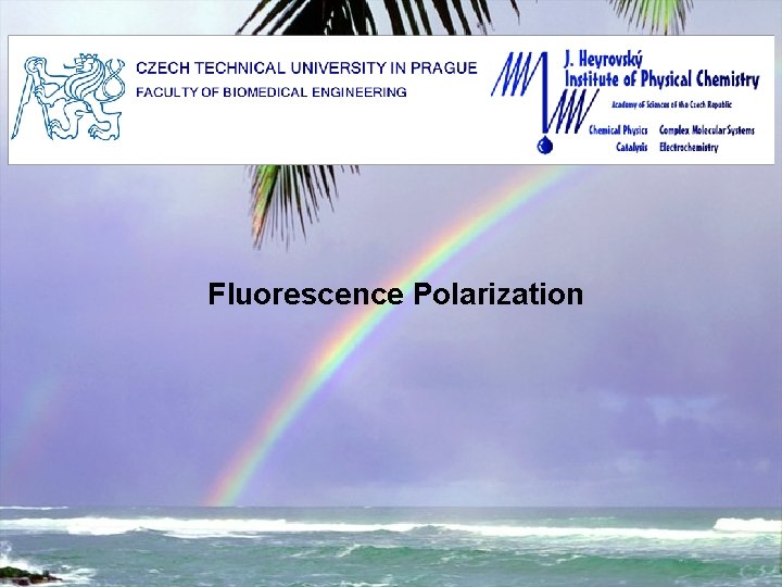 Fluorescence Polarization 