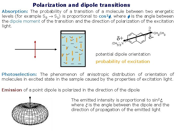 Polarization and dipole transitions Absorption: The probability of a transition of a molecule between