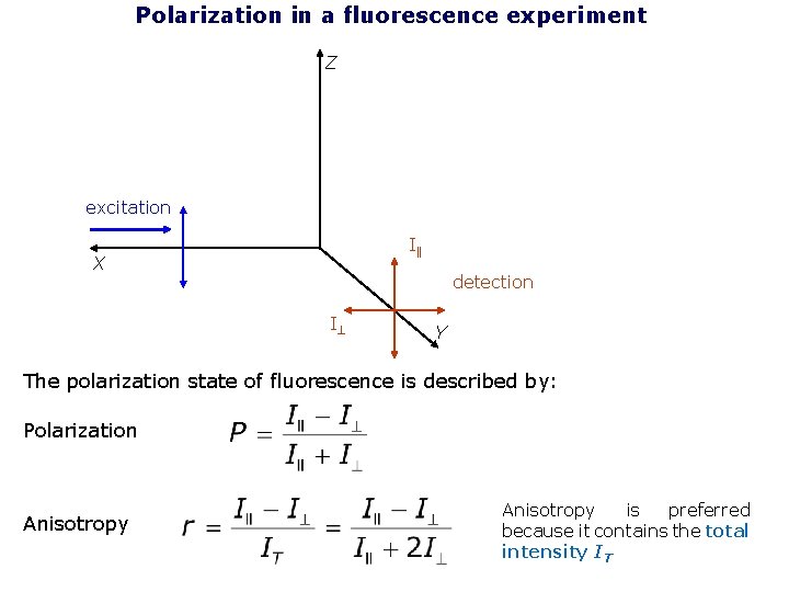 Polarization in a fluorescence experiment Z excitation I X detection I Y The polarization