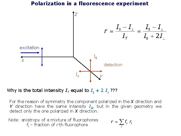 Polarization in a fluorescence experiment Z excitation I X detection I Y Why is