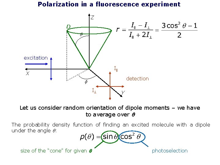 Polarization in a fluorescence experiment Z D q excitation I X detection f I