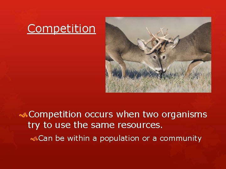 Competition occurs when two organisms try to use the same resources. Can be within