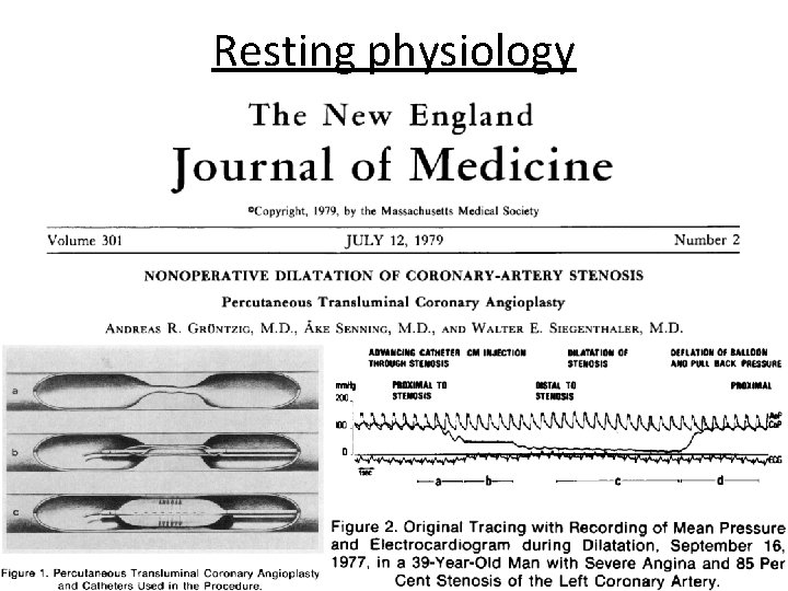 Resting physiology 