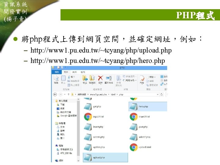 資訊系統 開發實例 (楊子青) l PHP程式 將php程式上傳到網頁空間，並確定網址，例如： – http: //www 1. pu. edu. tw/~tcyang/php/upload. php