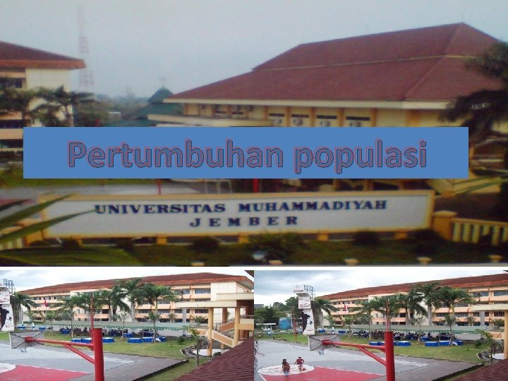 Pertumbuhan populasi 