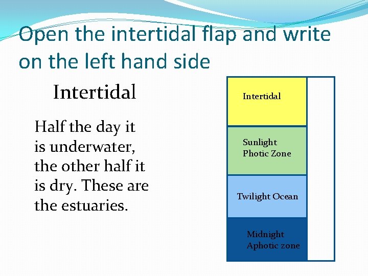 Open the intertidal flap and write on the left hand side Intertidal Half the