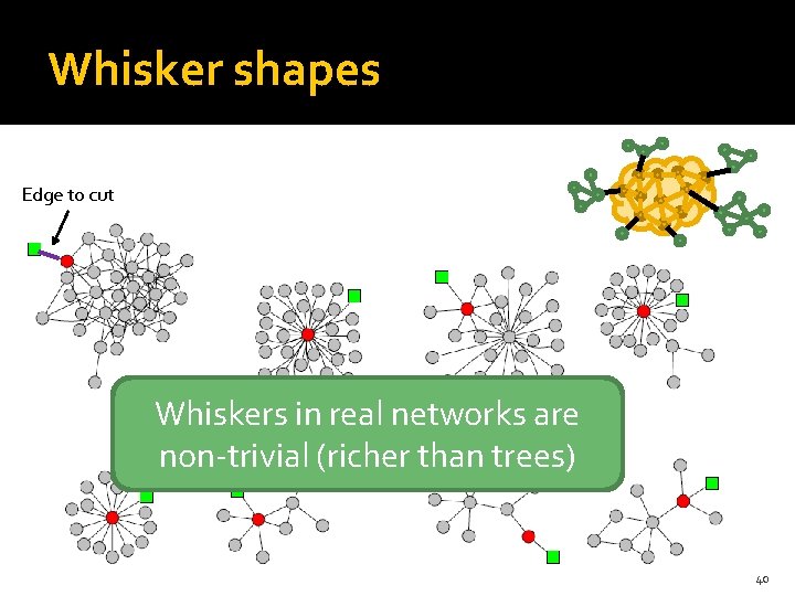 Whisker shapes Edge to cut Whiskers in real networks are non-trivial (richer than trees)