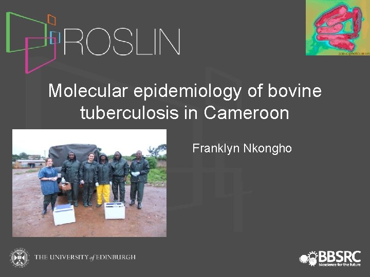 Molecular epidemiology of bovine tuberculosis in Cameroon Franklyn Nkongho 