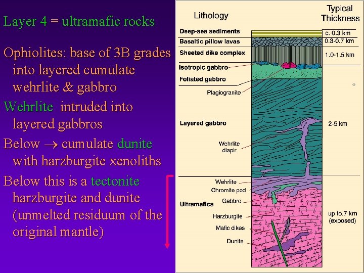 Layer 4 = ultramafic rocks Ophiolites: base of 3 B grades into layered cumulate