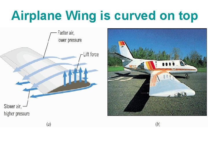 Airplane Wing is curved on top 