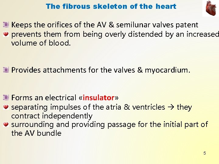 The fibrous skeleton of the heart Keeps the orifices of the AV & semilunar