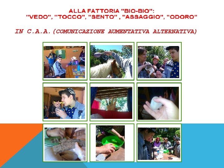 IN C. A. A. (COMUNICAZIONE AUMENTATIVA ALTERNATIVA) 