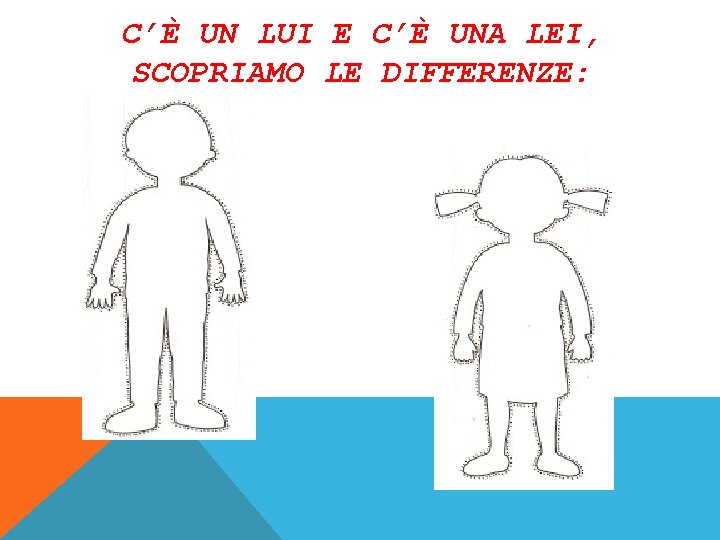 C’È UN LUI E C’È UNA LEI, SCOPRIAMO LE DIFFERENZE: 